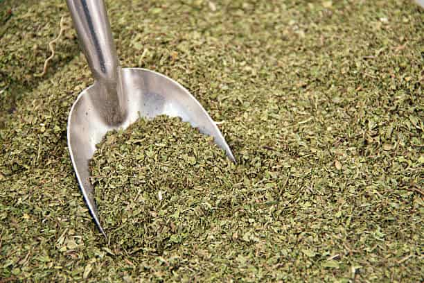 تصویر 4 از خرید نعنا خشک شده خانگی + قیمت فروش استثنایی